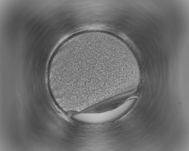 X0000063441232200602171821