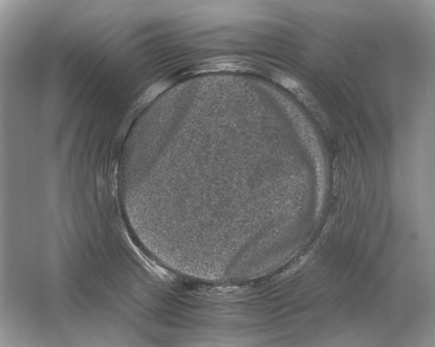 X0000063441233200602171821