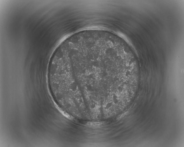 X0000063441237200602171821