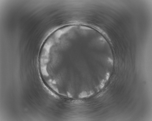 X0000063441239200602171821