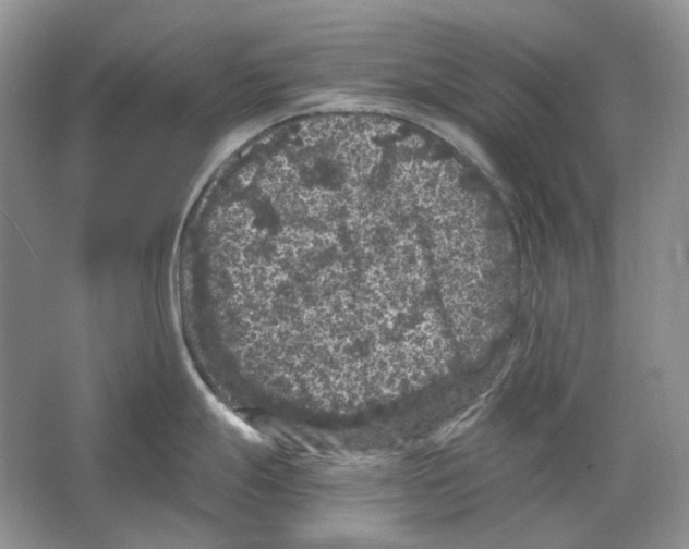 X0000063441247200602171821