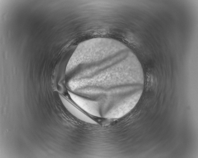 X0000063441250200602171820
