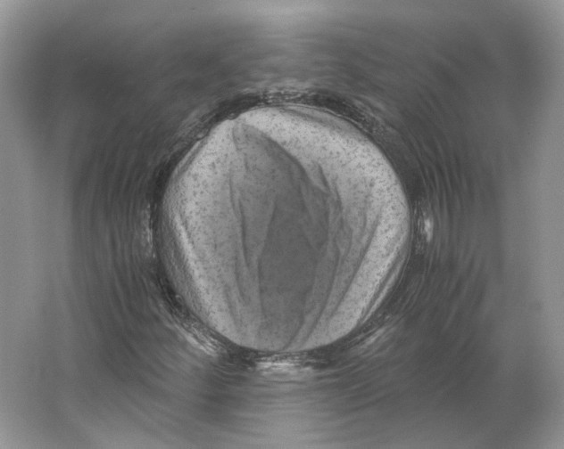 X0000063441252200602171820