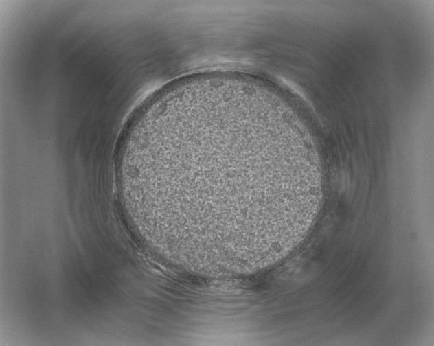 X0000063441267200602171820