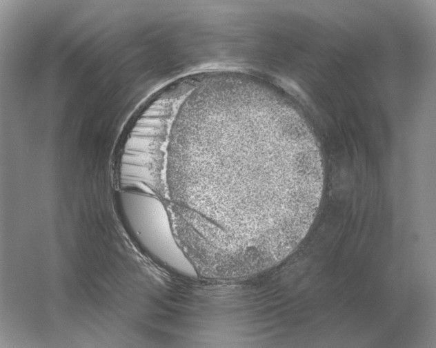 X0000063441268200602171820