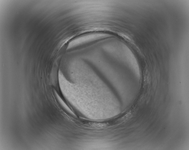 X0000063441273200602171820