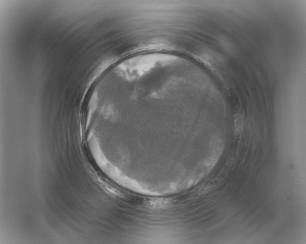 X0000063441274200602171820