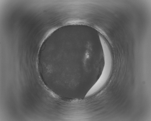 X0000063441277200602171820
