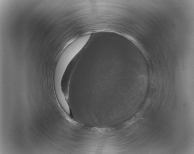 X0000063441289200602171820