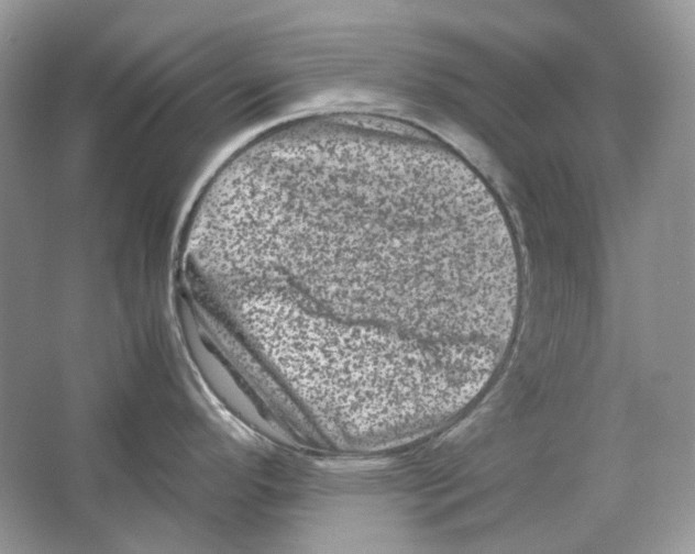 X0000063441296200602171820