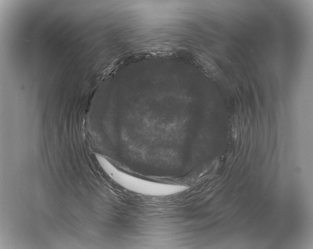 X0000063441298200602171819