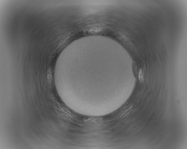 X0000063441299200602171819