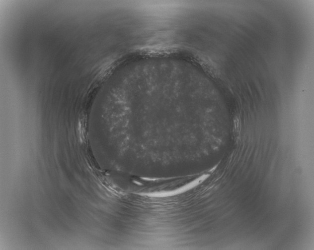 X0000063441300200602171819