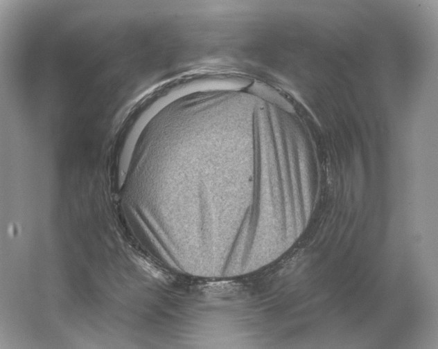 X0000063441304200602171819