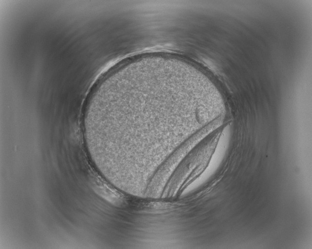 X0000063441308200602171819