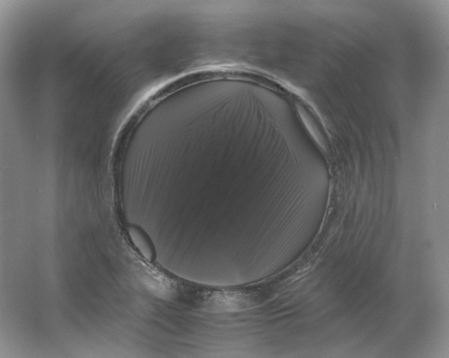 X0000063441319200602171819