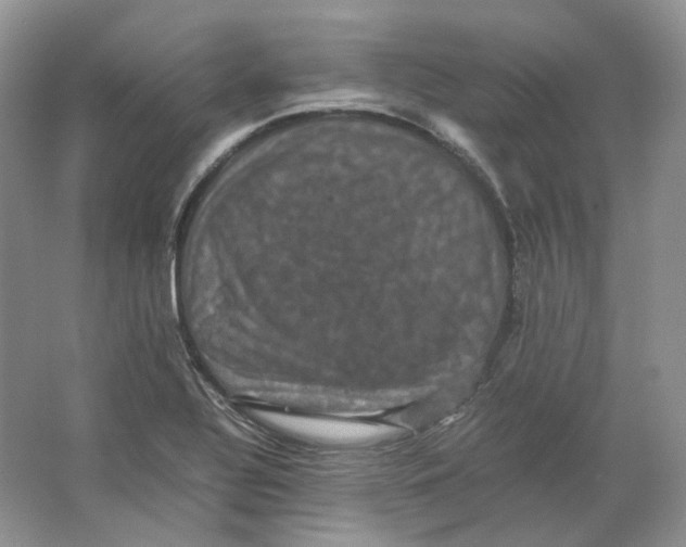X0000063441320200602171819