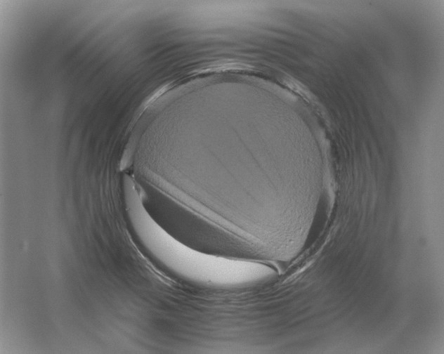 X0000063441321200602171819