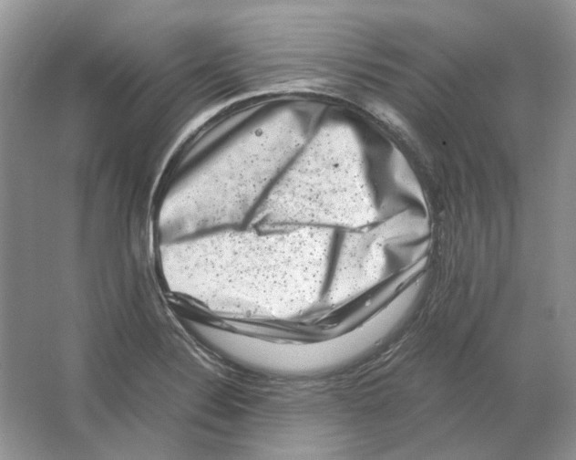 X0000063441324200602171819