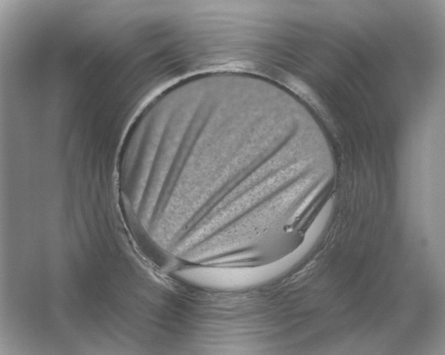 X0000063441332200602171819