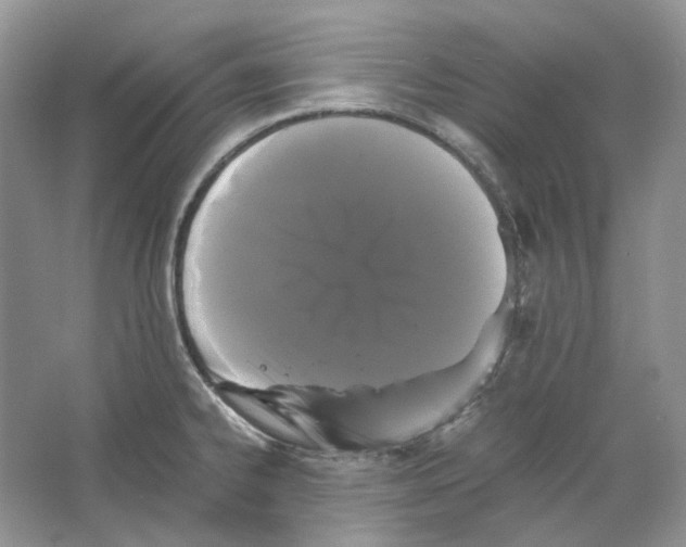 X0000063441334200602171819