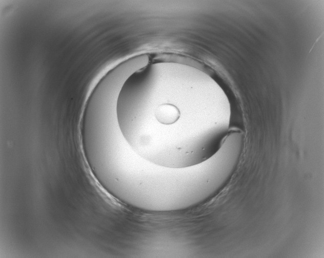 X0000063441344200602171820