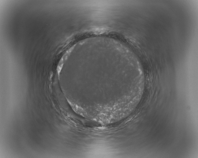 X0000063441349200602171819