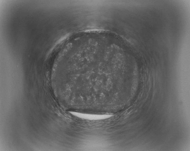 X0000063441351200602171819