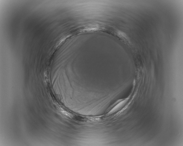X0000063441353200602171819