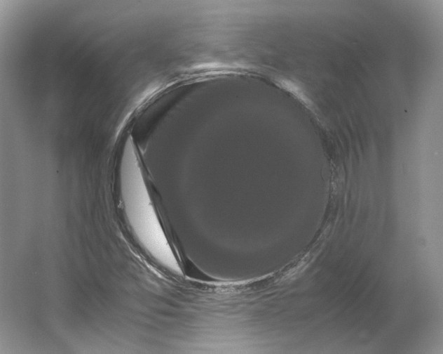 X0000063441357200602171819
