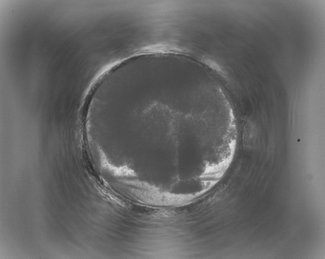 X0000063441358200602171819