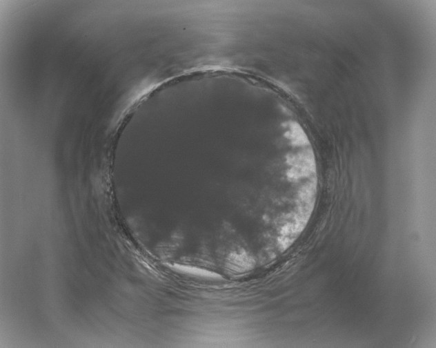 X0000063441359200602171819