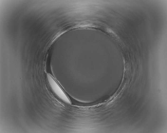 X0000063441361200602171819