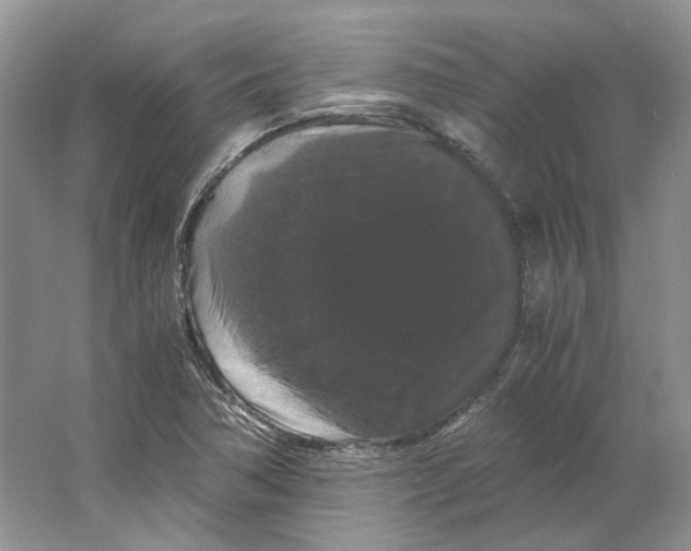 X0000063441362200602171818