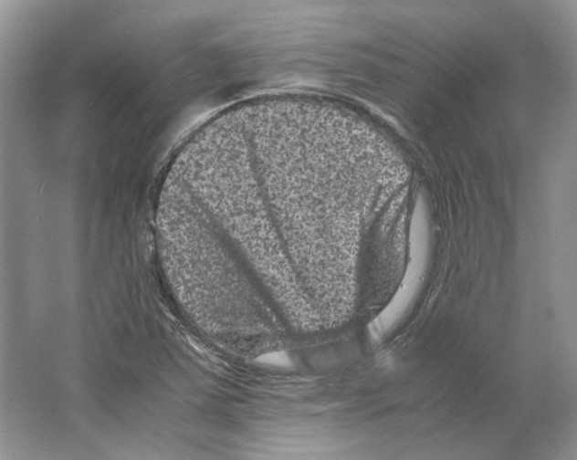X0000063441363200602171818