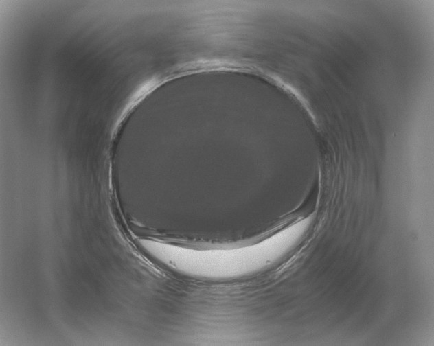 X0000063441365200602171818