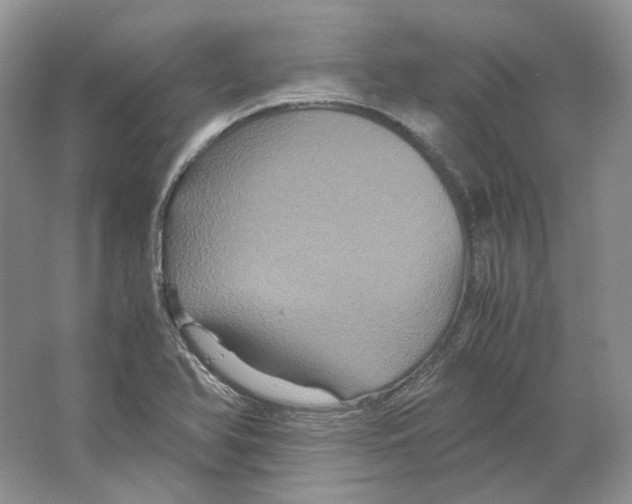 X0000063441366200602171818