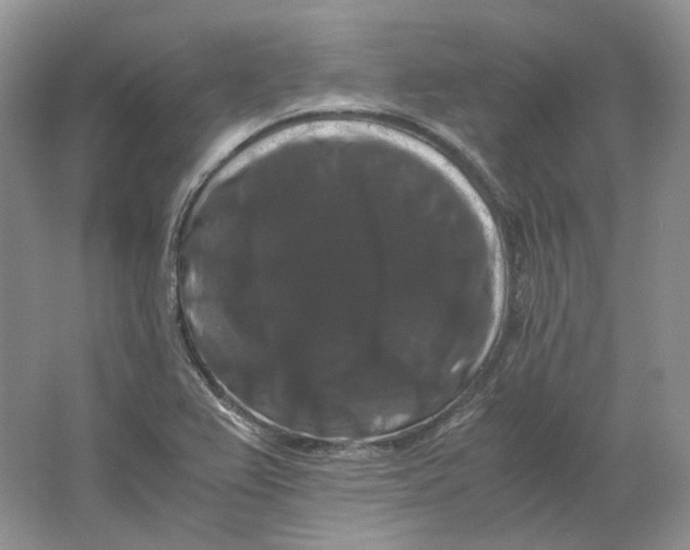 X0000063441367200602171818