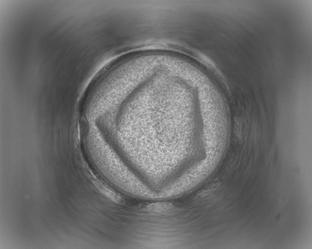 X0000063441368200602171818