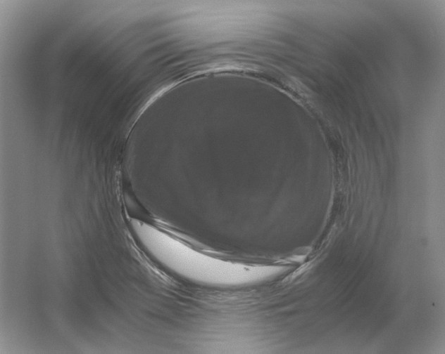 X0000063441369200602171818