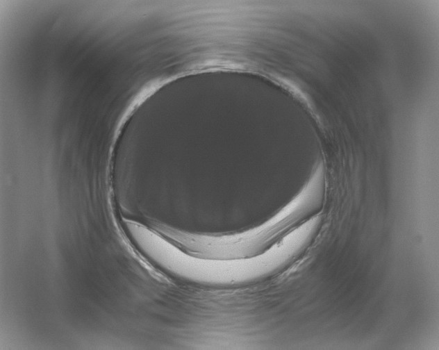 X0000063441373200602171818