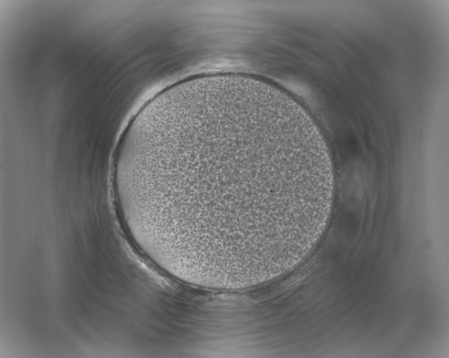 X0000063441374200602171818