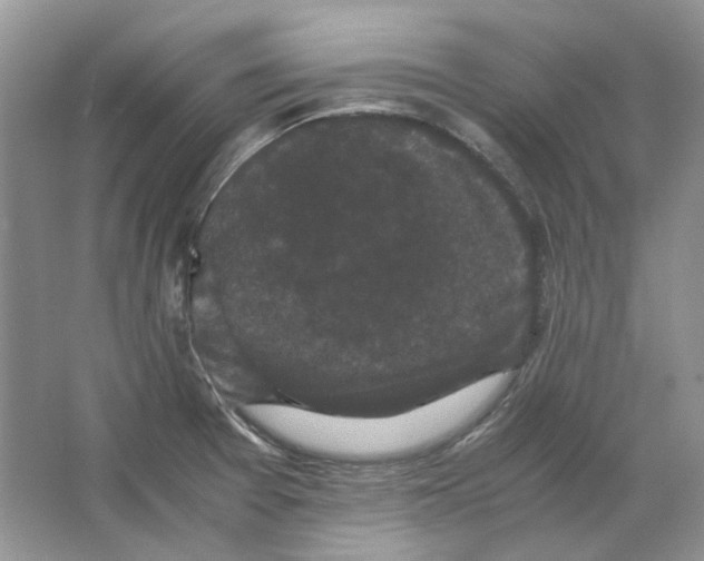 X0000063441377200602171818