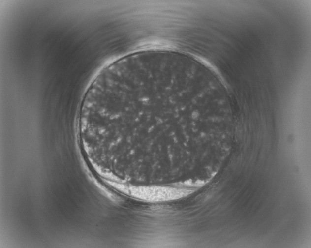 X0000063441383200602171818