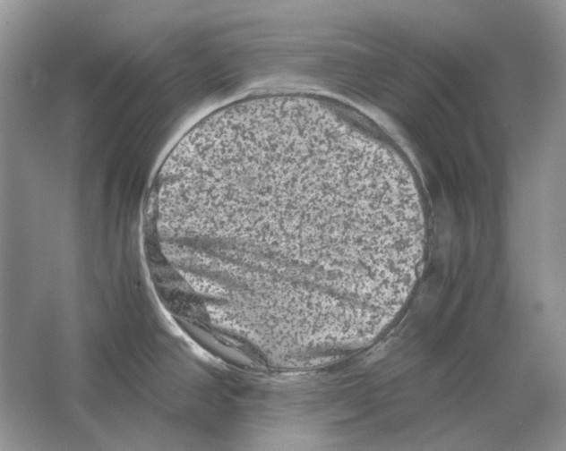 X0000063441390200602171818