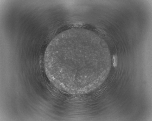 X0000063441395200602171817