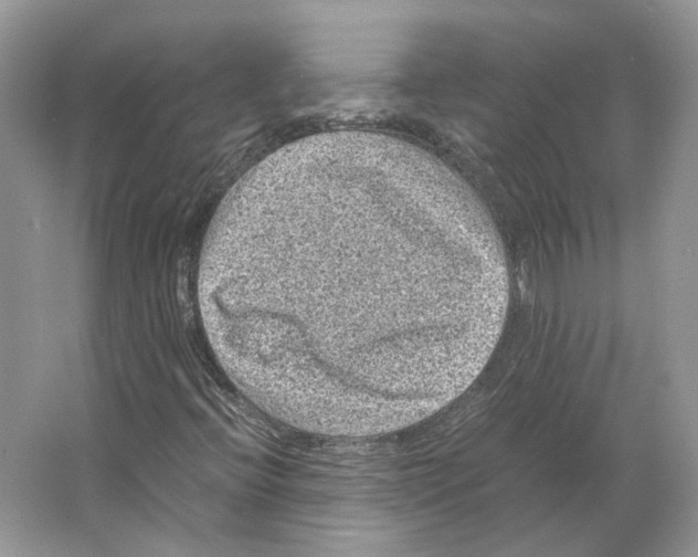 X0000063441396200602171817