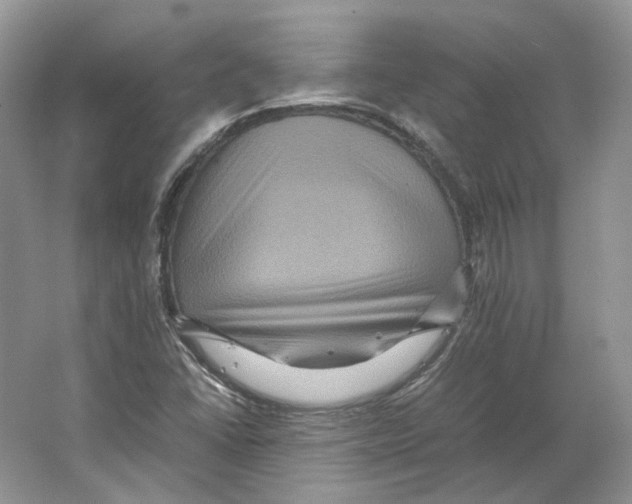 X0000063441406200602171817