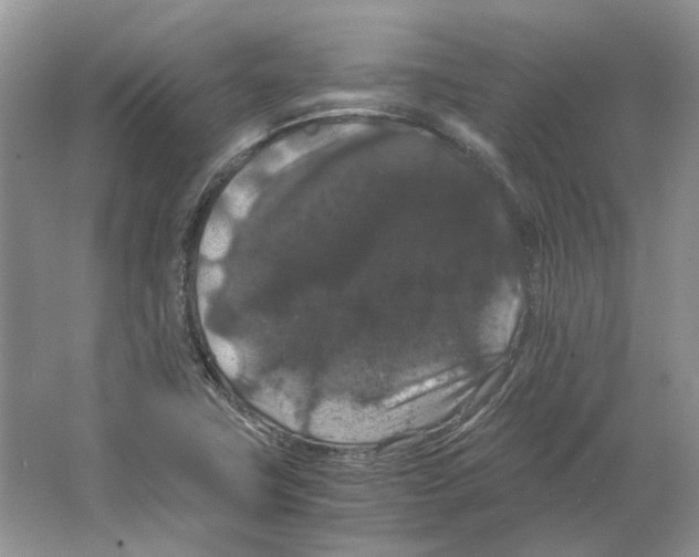 X0000063441411200602171817