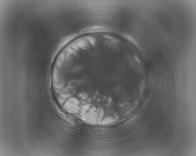 X0000063441413200602171817